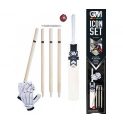 GM Icon Cricket Set (With Gloves)